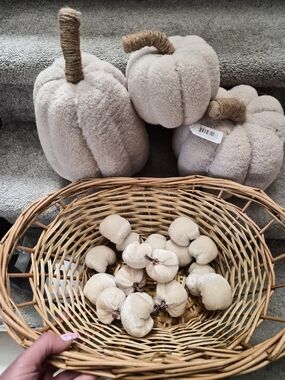 Plush Cream Pumpkin Fall Decor Set